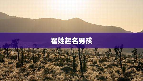 翟姓起名男孩