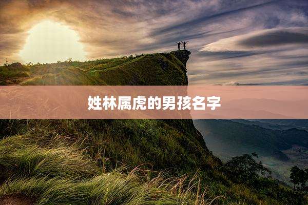 姓林属虎的男孩名字