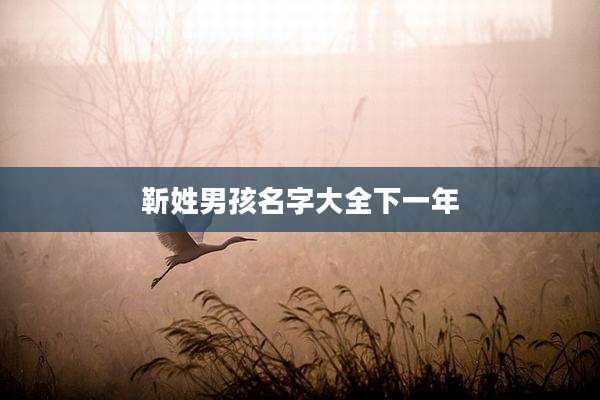 靳姓男孩名字大全下一年