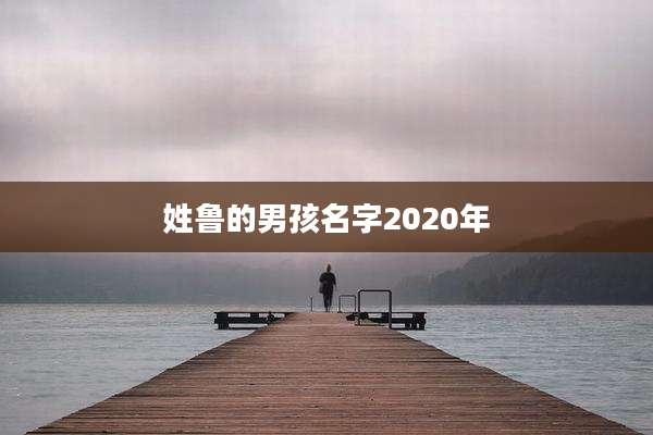 姓鲁的男孩名字2020年