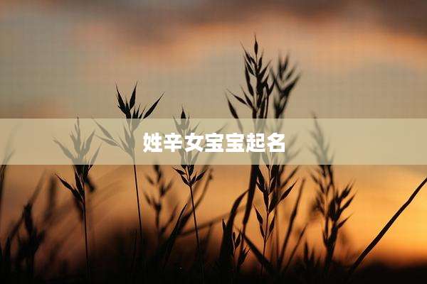 姓辛女宝宝起名