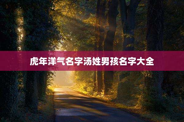 虎年洋气名字汤姓男孩名字大全