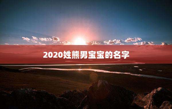 2020姓熊男宝宝的名字