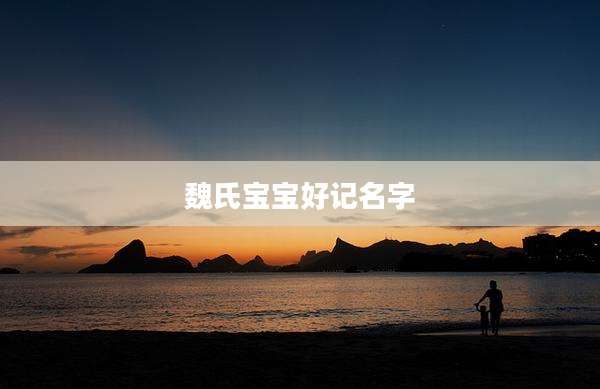魏氏宝宝好记名字