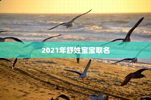 2021年舒姓宝宝取名