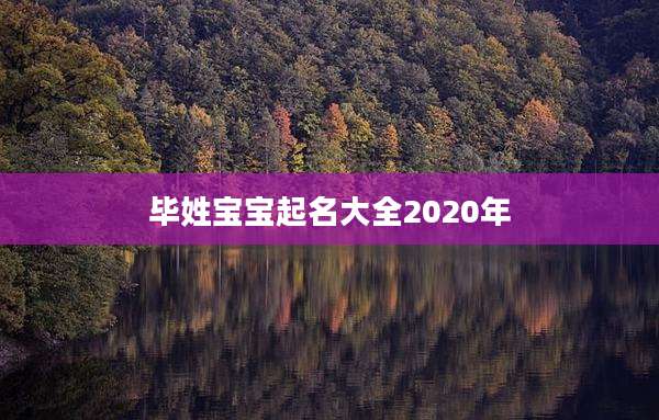 毕姓宝宝起名大全2020年