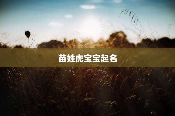 苗姓虎宝宝起名