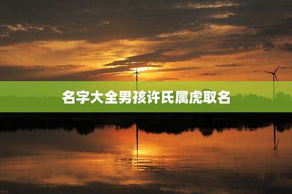 名字大全男孩许氏属虎取名