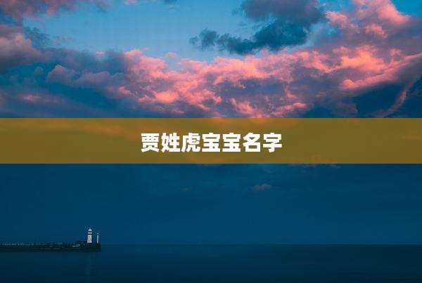 贾姓虎宝宝名字