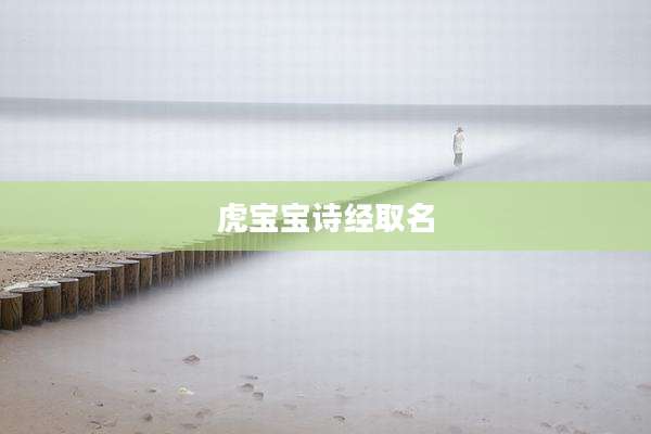 虎宝宝诗经取名