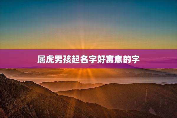 属虎男孩起名字好寓意的字