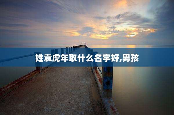 姓袁虎年取什么名字好,男孩