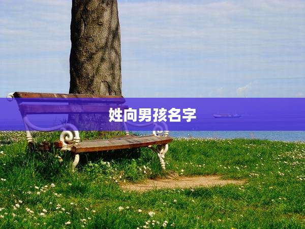 姓向男孩名字