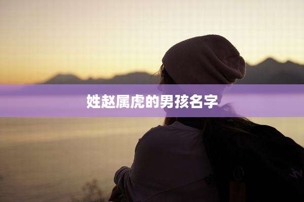 姓赵属虎的男孩名字