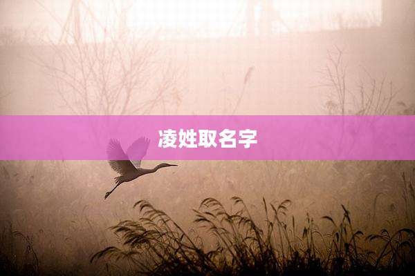 凌姓取名字
