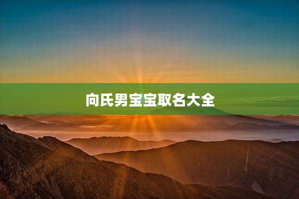 向氏男宝宝取名大全