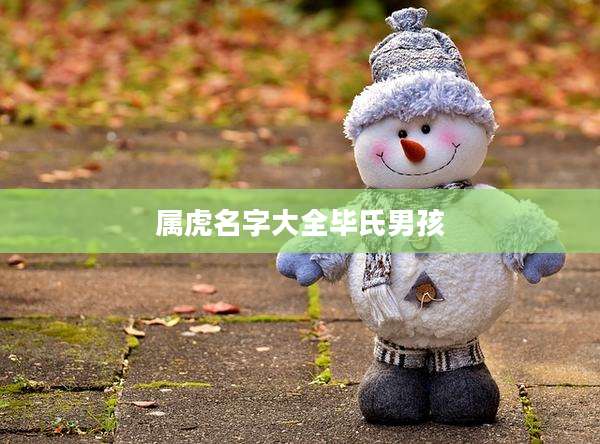 属虎名字大全毕氏男孩