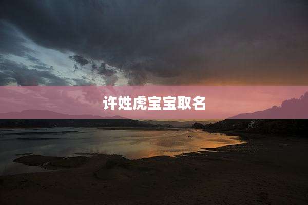 许姓虎宝宝取名