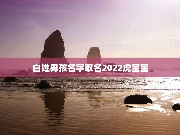 白姓男孩名字取名2022虎宝宝