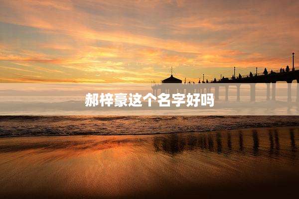 郝梓豪这个名字好吗