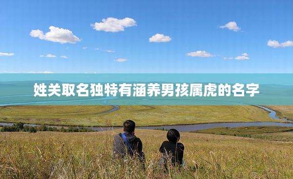 姓关取名独特有涵养男孩属虎的名字