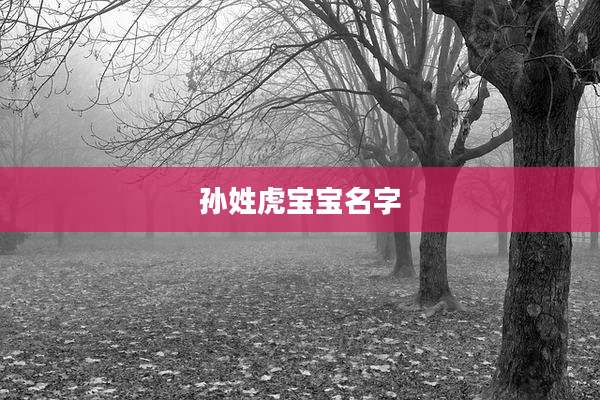 孙姓虎宝宝名字