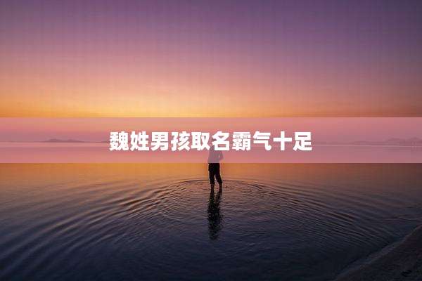 魏姓男孩取名霸气十足