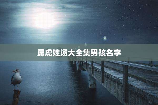 属虎姓汤大全集男孩名字