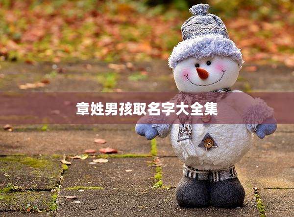 章姓男孩取名字大全集