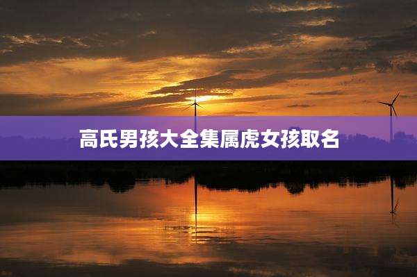 高氏男孩大全集属虎女孩取名