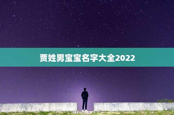 贾姓男宝宝名字大全2022