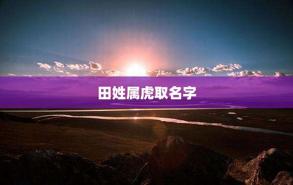田姓属虎取名字