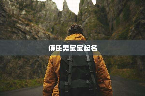 傅氏男宝宝起名