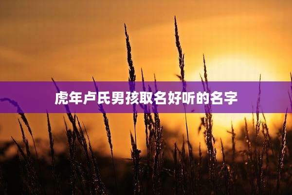 虎年卢氏男孩取名好听的名字