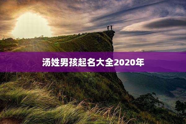 汤姓男孩起名大全2020年