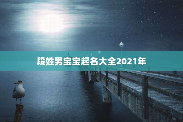 段姓男宝宝起名大全2021年