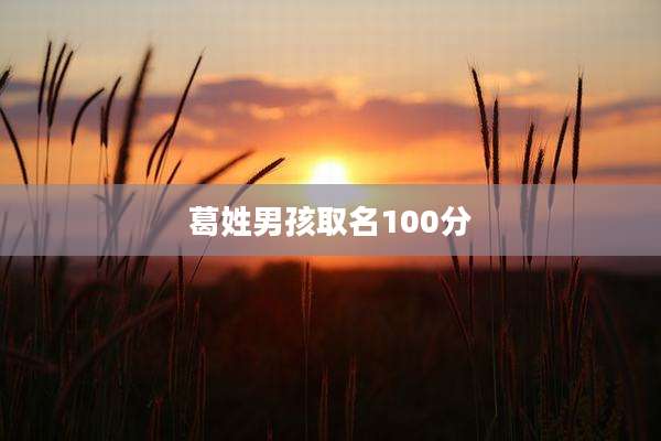 葛姓男孩取名100分