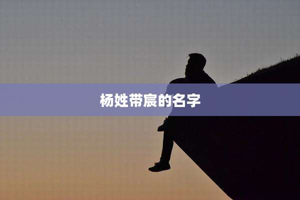 杨姓带宸的名字