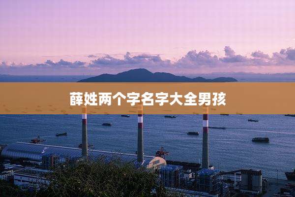 薛姓两个字名字大全男孩