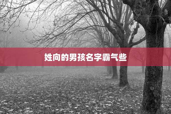 姓向的男孩名字霸气些