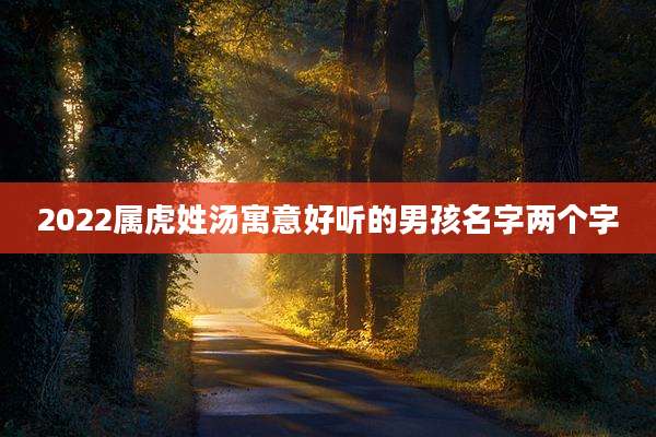 2022属虎姓汤寓意好听的男孩名字两个字