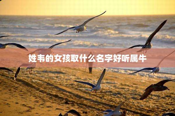 姓韦的女孩取什么名字好听属牛
