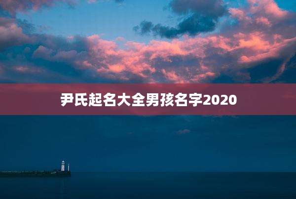 尹氏起名大全男孩名字2020