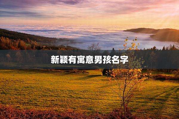 新颖有寓意男孩名字