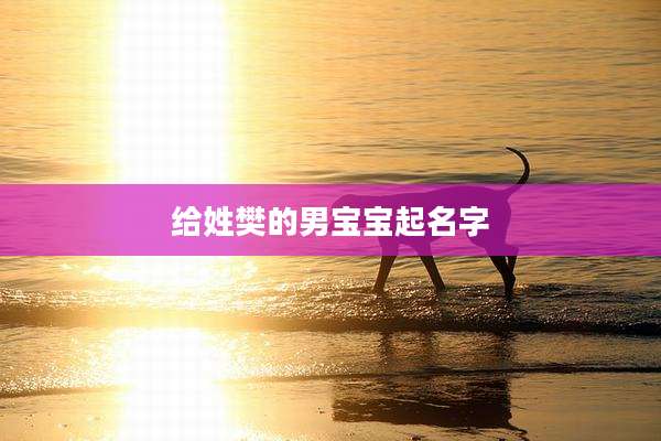 给姓樊的男宝宝起名字
