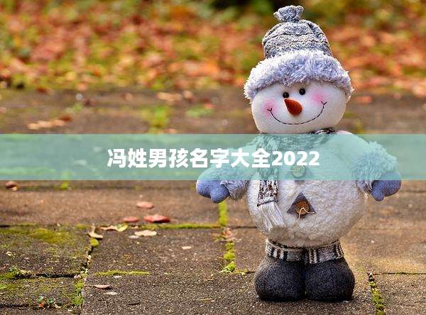 冯姓男孩名字大全2022