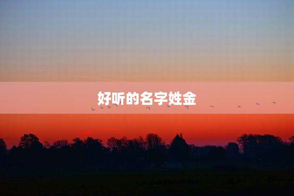 好听的名字姓金