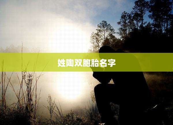 姓陶双胞胎名字