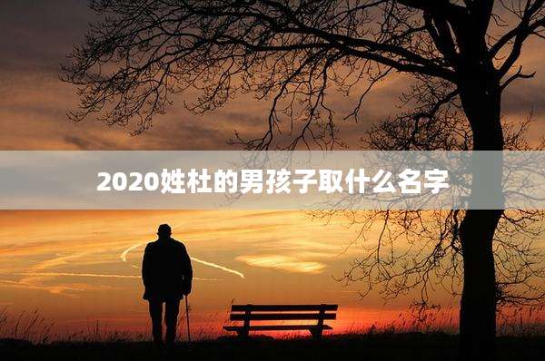 2020姓杜的男孩子取什么名字
