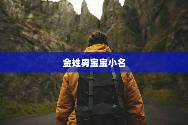 金姓男宝宝小名